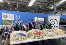 Blue ribbon day for judges