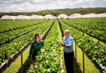 Long-range input forecasting providing a silver lining from Covid