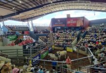 Producer’s left proud