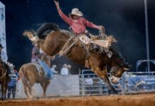 A bronc riding first