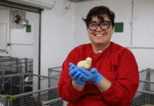 A passion can be a career