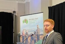 Australian Beef Sustainability Framework seeks new Steering Group chair