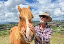 A rich life with horses