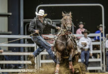 APRA crowns new champs