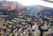 Perfect clearance rate and record average at sale