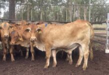 Final markets of 2024