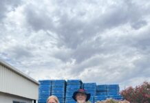 A locally-grown cold cure