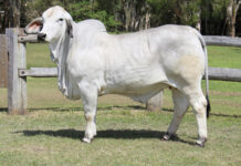 Responding to relevance