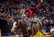 Brennan eyes bronc glory