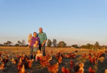 An egg-ceptional business