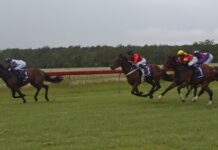A festive Nanango races