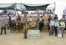 50 years done and dusted