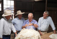 Game changer for wool