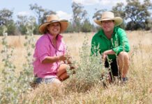 It’s more than just a job