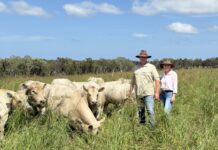 Filling an ag industry void