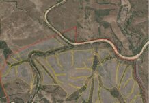 Solar farm habitat fears