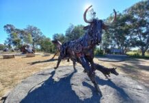 Bull-tastic display at CQLX