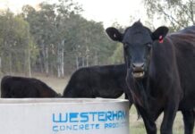 Precast concrete solutions