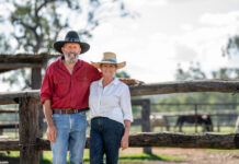 Graziers rise from ashes