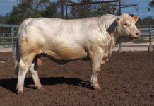 Plenty of options coming up