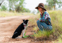 Pockets full of dreams