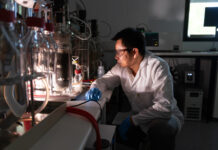 World-first discovery