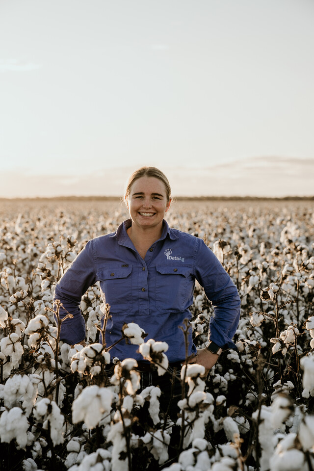 Cotton_484940_02