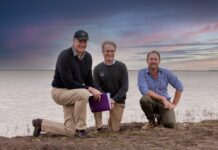 Floating solar panels