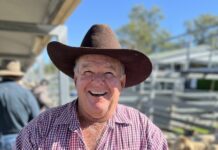 Six years of success