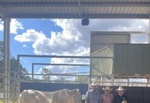 Ultimate wins the day