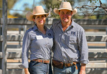 Strong demand drives full clearance at JK Cattle Co