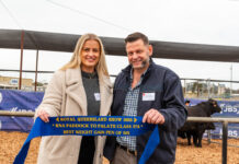 Beef producers square off