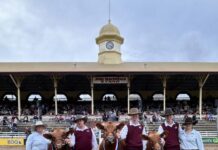 Ekka 2025’s agricultural program yields crowd-pleasing success