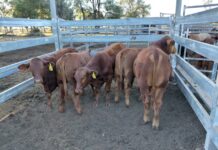 A trifecta of benefits