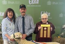 Prime lamb market soars