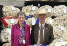 Grand Champion fleece