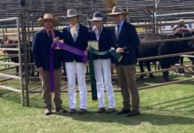 Young guns fire at Ekka