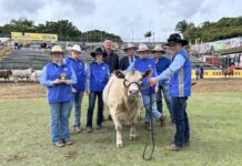 Square Meaters at Aldridge