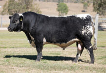 Better output, less input