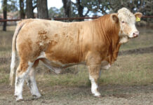 A legacy of excellence