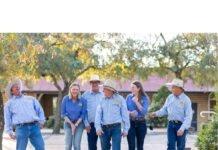 They’re the backbone