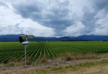 Hort Innovation Venture Fund announces first investment