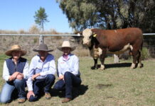 Sales reflect confidence