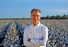 Future-proofing cotton