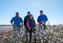 Planting starts, hopes up