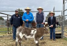 Strong support from west