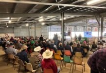 Big demand, records fall