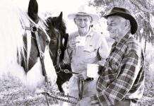 Capturing spirit of bush