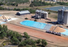 GrainCorp’s Capella depot breaks records for the biggest day of winter grain receivals