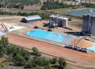 GrainCorp’s Capella depot breaks records for the biggest day of winter grain receivals